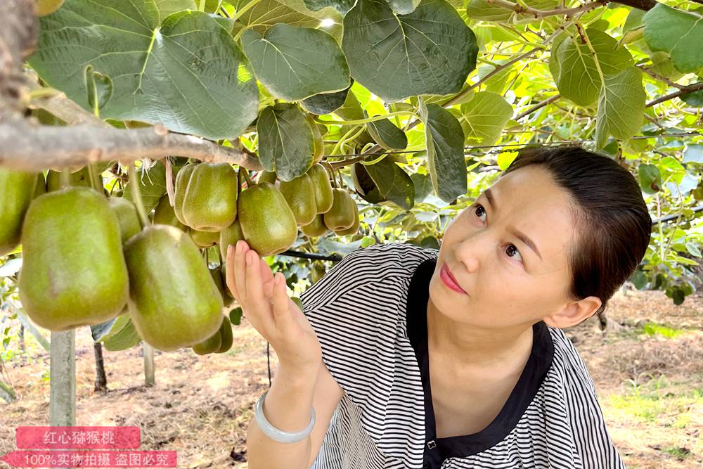 redkiwifruit