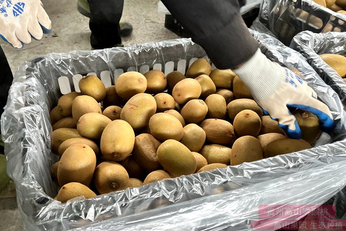 Kiwifruit with yellow heart