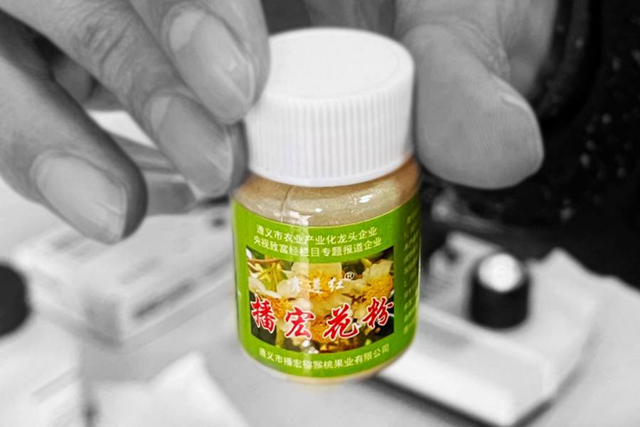 where to buy kiwi pollen