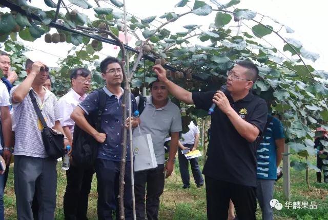 種植獼猴桃培訓(xùn)