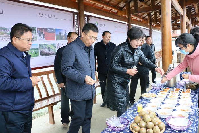 陳代軍副書記品嘗三岔紅心獼猴桃