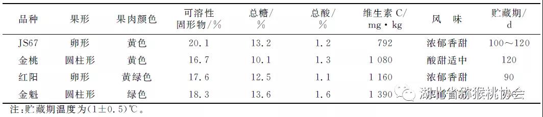 建香獼猴桃