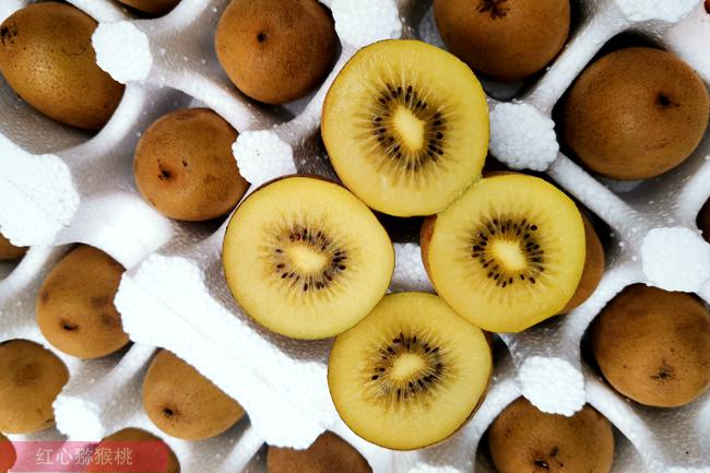 golden kiwifruit