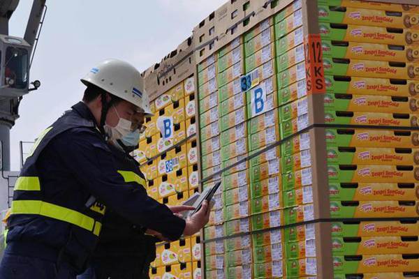 Quarantine of kiwi fruit