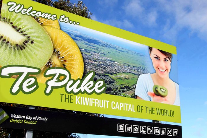 where are zespri kiwi grown