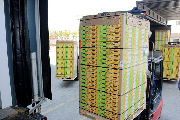 zespri kiwifruit Import and export