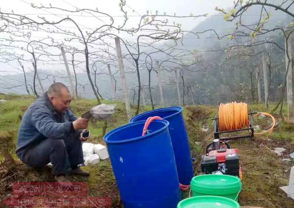 獼猴桃澆水灌水