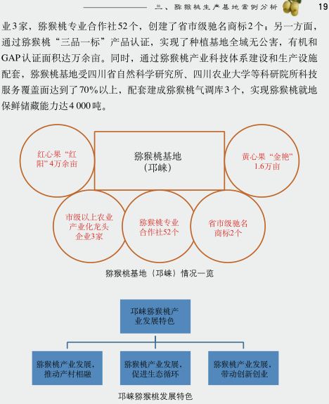 中國獼猴桃產(chǎn)業(yè)發(fā)展報告2017年